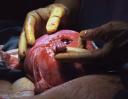 samuel-armas-hand1.jpg
